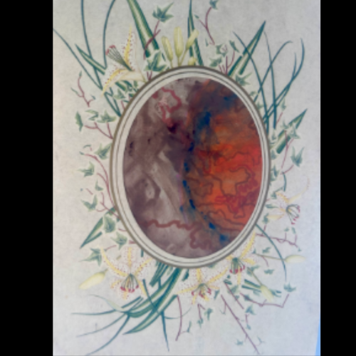 Phoebe Maroulis – The Whole Picture